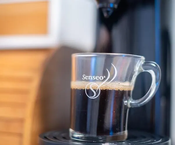 L'hellenid - Spacieux Proche Cour D'appel Riom