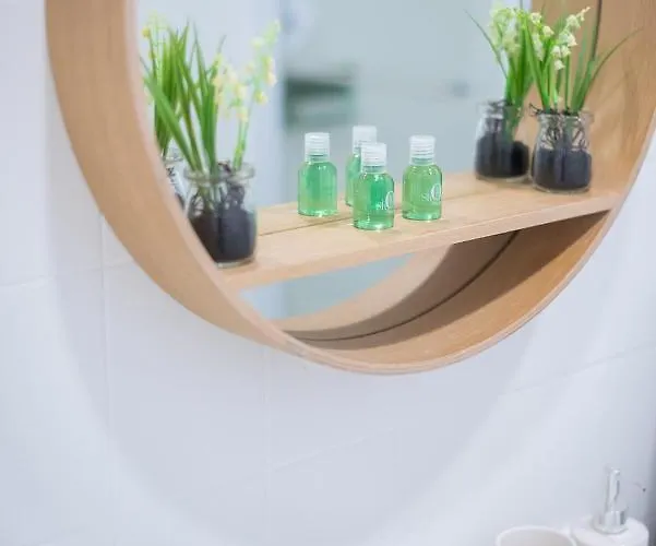 L'hellenid - Spacieux Proche Cour D'appel Riom